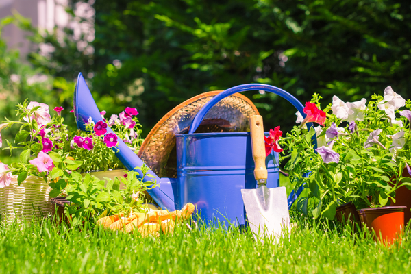 7 Reasons Why Gardening Tools Are Important